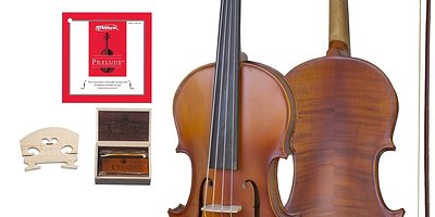 Cecilio 14 Inch Viola - Solid Wood, Ebony Fittings, Good Condition